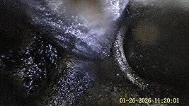 Review Image by MCMS