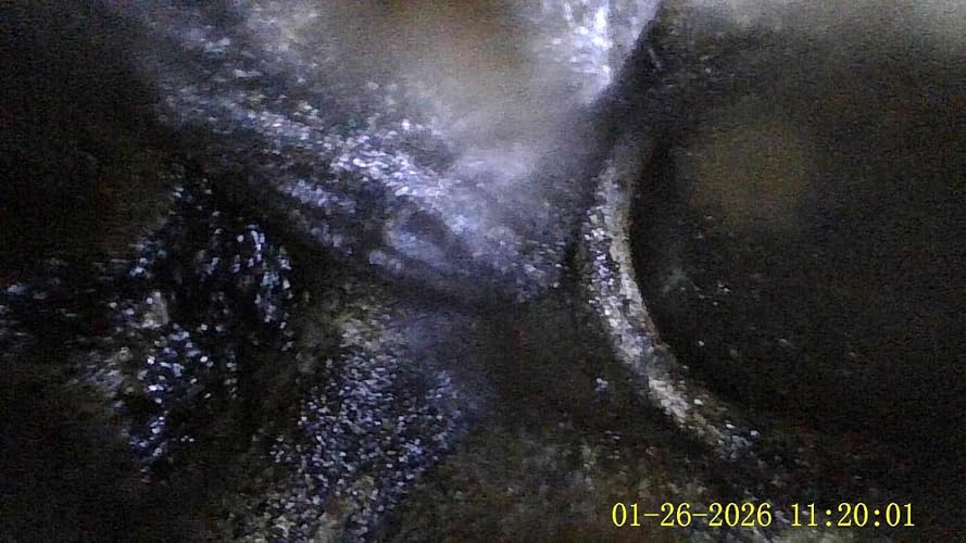 Review Image by MCMS