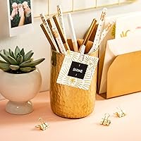 Vista 10 de Compendium Tarjetas desplegables ThoughtFulls — Paquete de 4 de Shine, Hope, Believe, Dream — 120 tarjetas desplegables, cada una con un mensaje