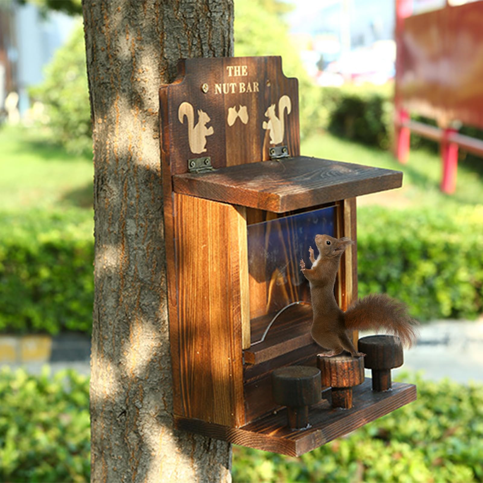 Alimentador de Ardilla, Comedor al Aire Libre - Fundación al Aire Libre Lisbar con 3 taburetes pequeños, Pequeños Dolores de Desperdicio en chipmasaje Lindo Ficher, en