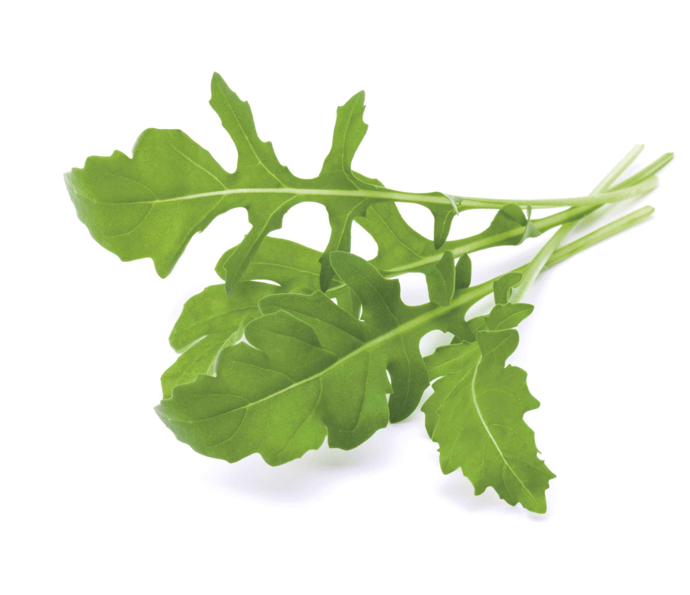 Emsa 3 Cápsulas Rúcula Click & Grow, Semillas apta para Smart ...