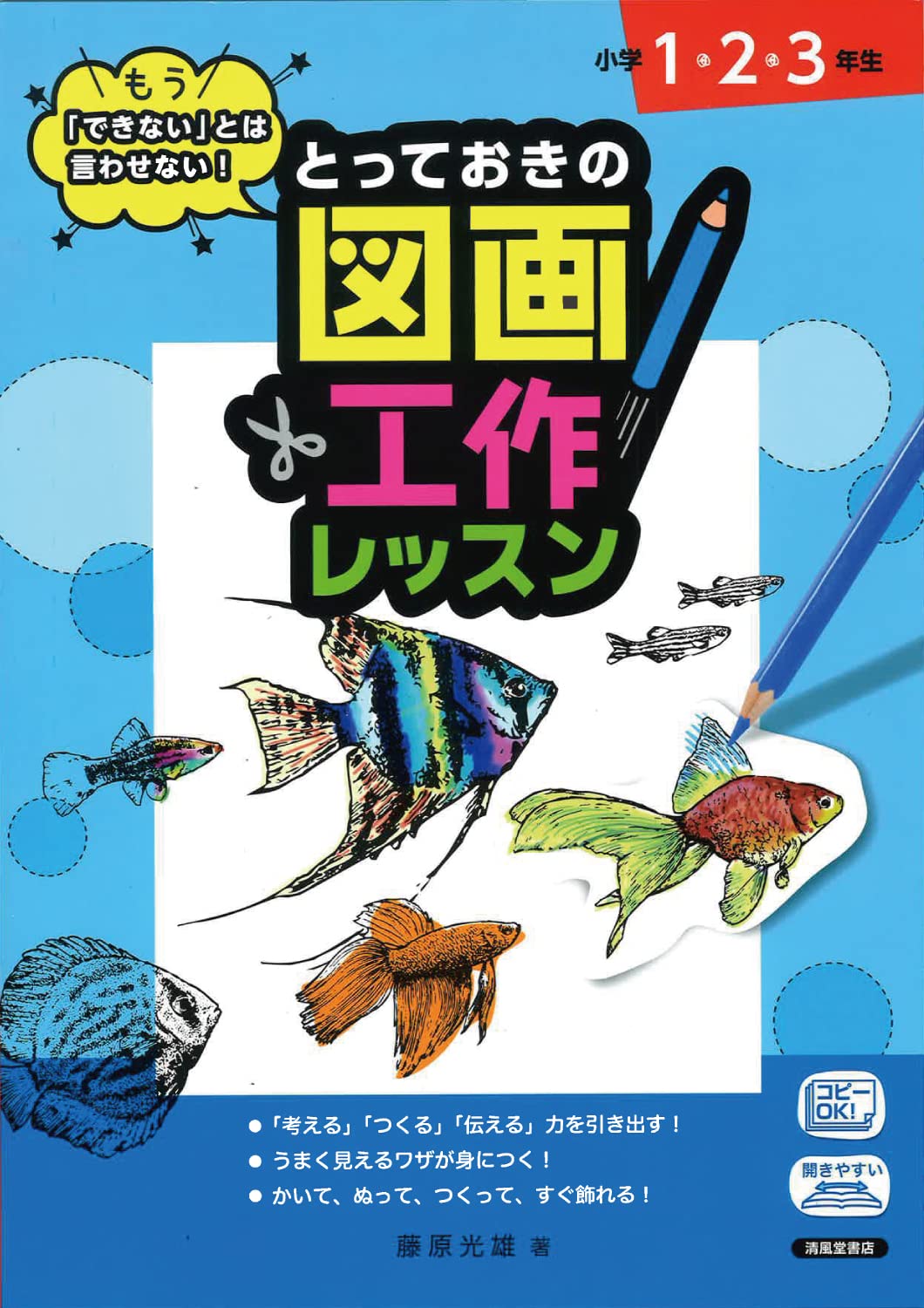 71SiHZ67a7L.jpg