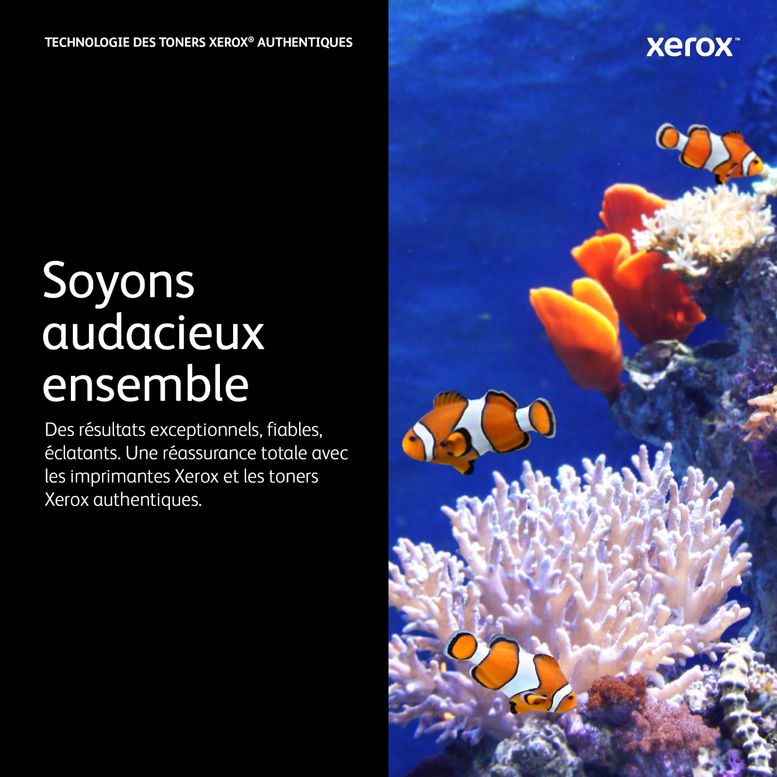 Xerox Originales B310 Module photorécepteur (40,000 Pages) - 013R00690