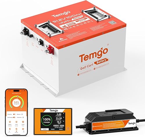 48V Lithium Golf Cart Battery Metal Case, TEMGO 51.2 Volt 100Ah LiFePO4 Battery, Built-in Bluetooth 200A BMS, Includes 56.8V 18A Charger, APP