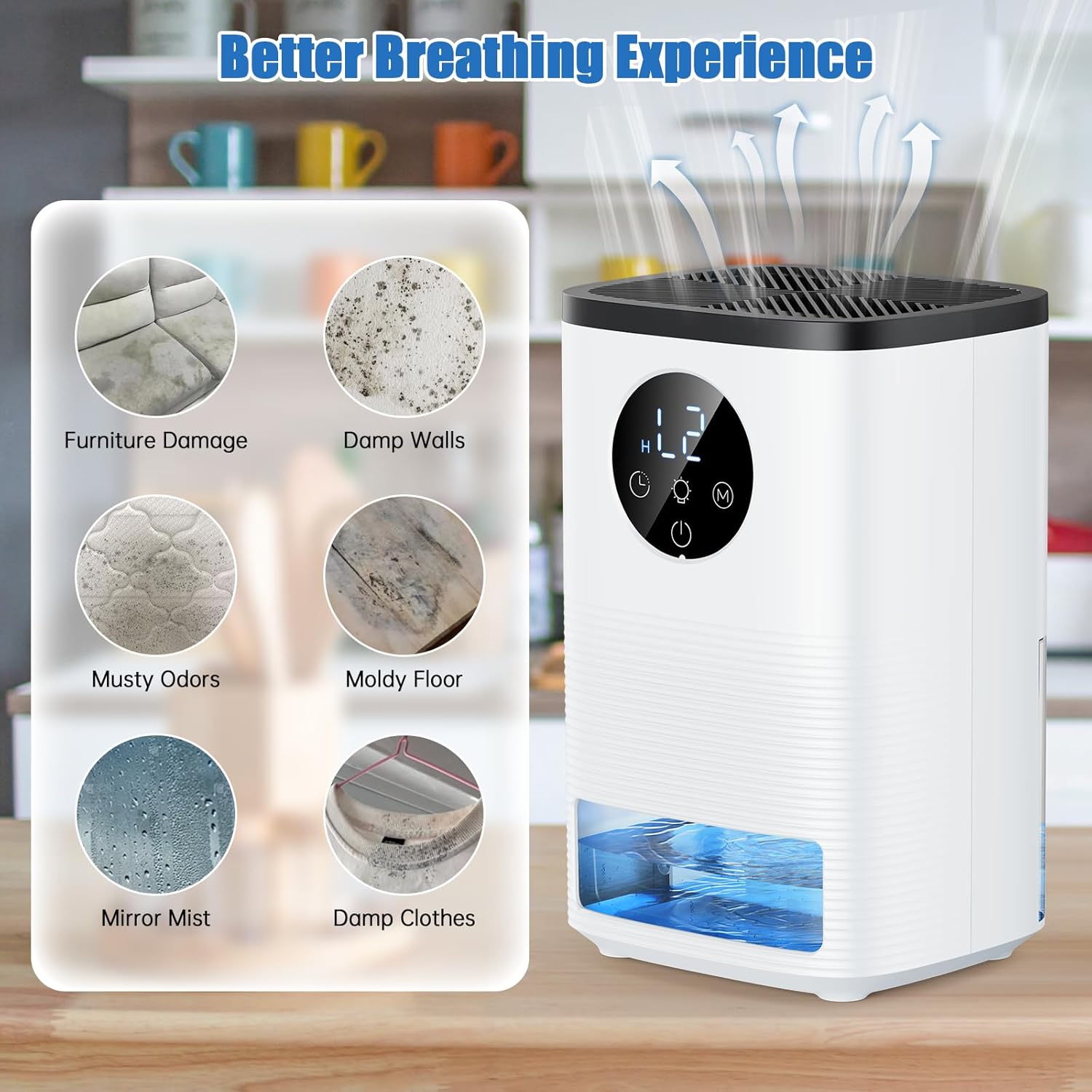 Foto del Deshumidificador