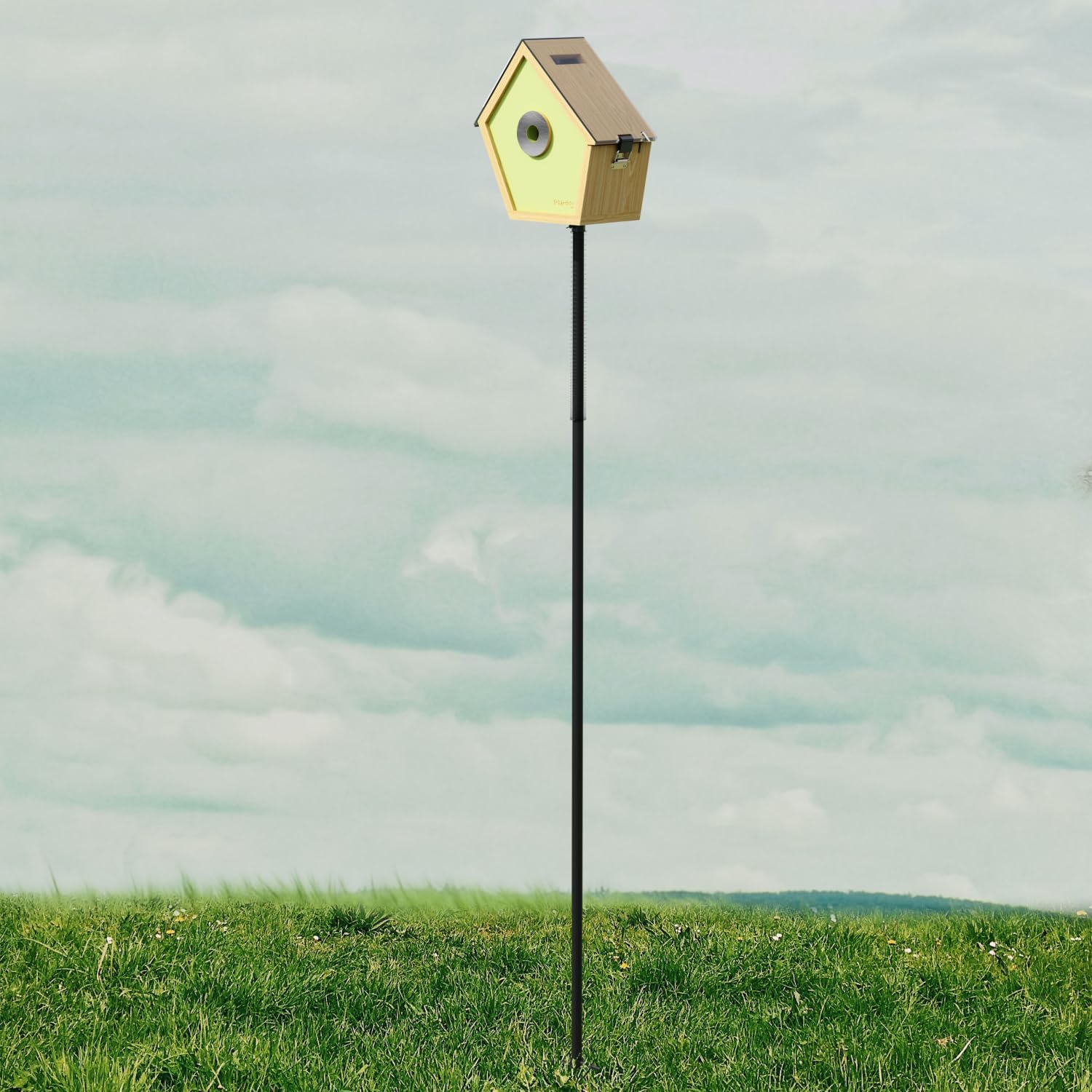 RELI Birddy 78 Inch Ground Stand with Anti-Squirrel Sprung for Birddy Smart Bird House & Feeder, Adjustable Heavy Duty Bird Feeder Pole for Outdoors