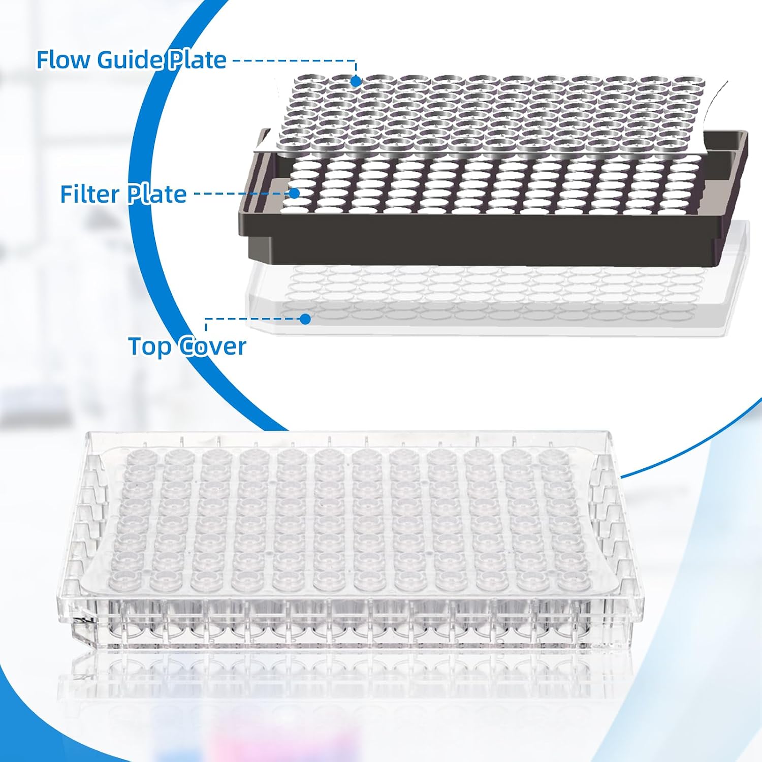 96-Well Microporous Filter Plate, 300 μL, Non-Removable, 0.22μm, Hydrophilic Nylon Membrane, for Lab Filtration, Analyses of Elispot, Pampa, and Cell Screening, 1 Pcs