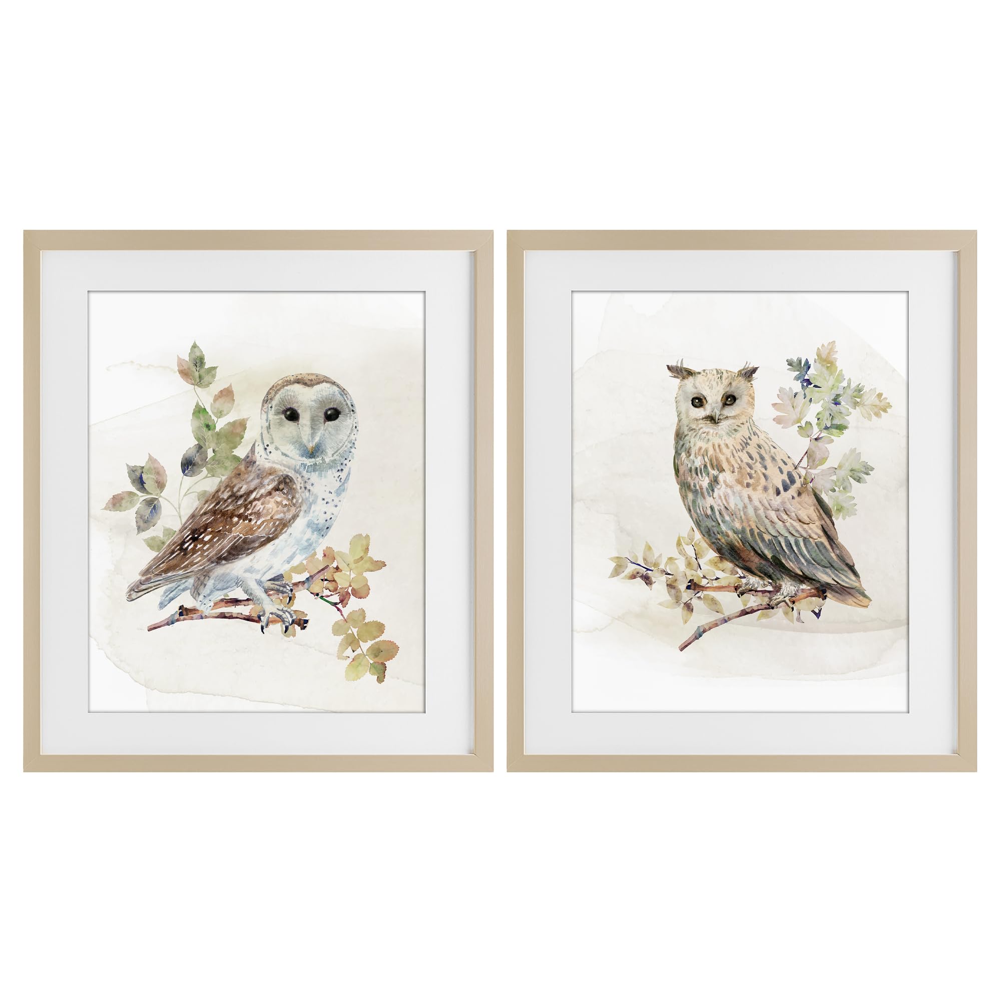Stupell Industries 'Owls Perched in Foliage', 2pc Framed Print Under Glass Set, Brown, 17 x 21 Inches, Easy to Hang and Sturdy, Made in USA, by CAD Designs