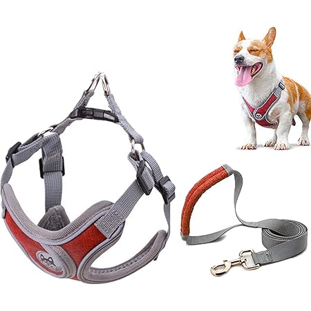Amazon 犬 ハーネス 小型犬 4 14kg 犬用胴輪 猫用 ベストハーネス 調節可能 負担が少ない首輪 引っ張り防止 咳き込み防止 夜間反射 安心散歩 簡単着脱 歩行補助 通気性高 軽量 柴犬 秋田犬 レッド S Hjstars ハーネス 通販