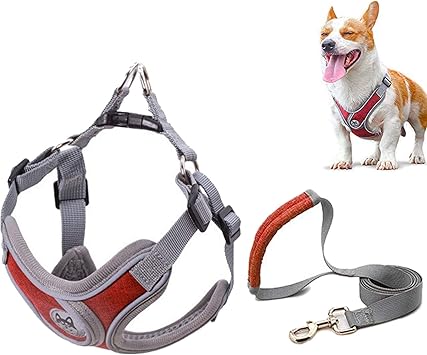 Amazon 犬 ハーネス 小型犬 4 14kg 犬用胴輪 猫用 ベストハーネス 調節可能 負担が少ない首輪 引っ張り防止 咳き込み防止 夜間反射 安心散歩 簡単着脱 歩行補助 通気性高 軽量 柴犬 秋田犬 赤 Xs Hjstars ハーネス 通販