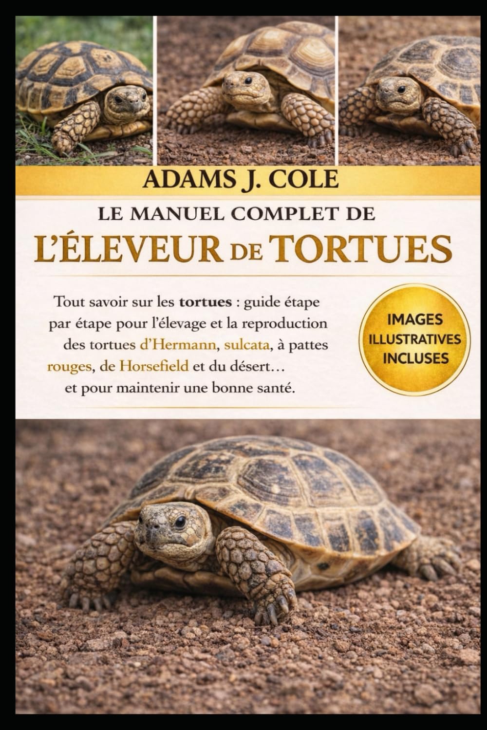 LE MANUEL COMPLET DE L'ÉLEVEUR DE TORTUES: Tout savoir sur les tortues : guide étape par étape pour l’élevage et la reproduction des tortues ... du désert… et pour maintenir une bonne santé.