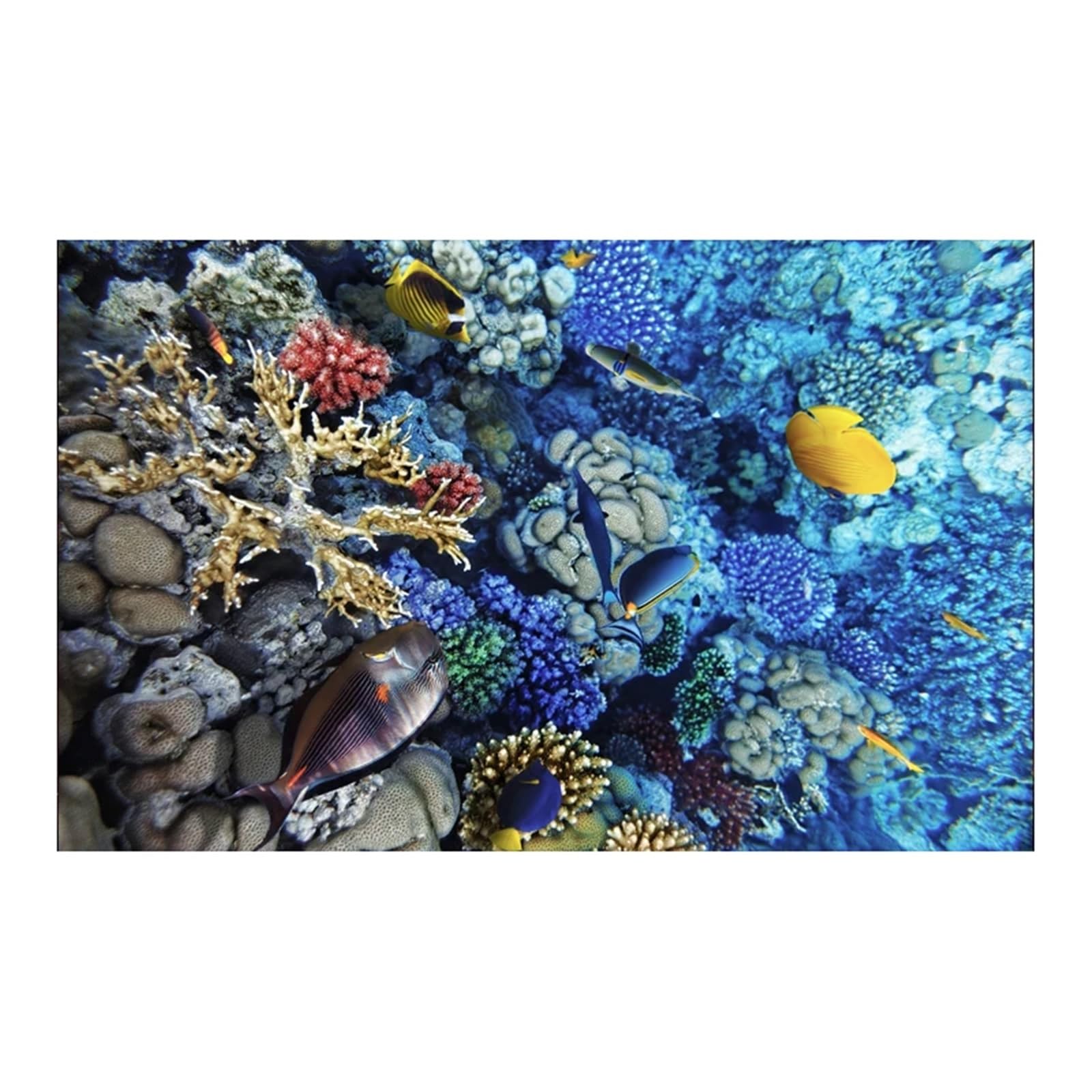 Immagine Di Sfondo Per Acquario Adesivo for sfondo acquario Poster di corallo sottomarino Decorazione for acquario Carta da parati autoadesiva Sfondo 3d Per La Decorazione Di Acquari(50x100cm)
