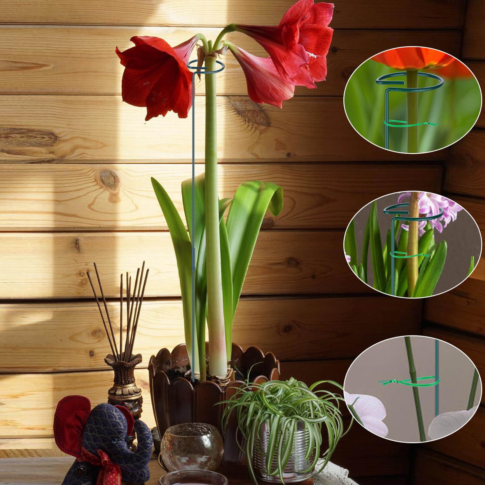 colorful pots for plants Flower Grow Kits | Fluted Ceramic Planter | Complete Hydroponic Setup