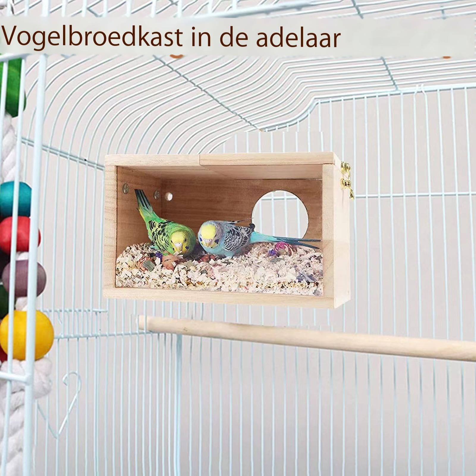Doorzichtige Nestkast Voor Valkparkieten – Zicht Op Broed En Kuikens – Hout & Acryl