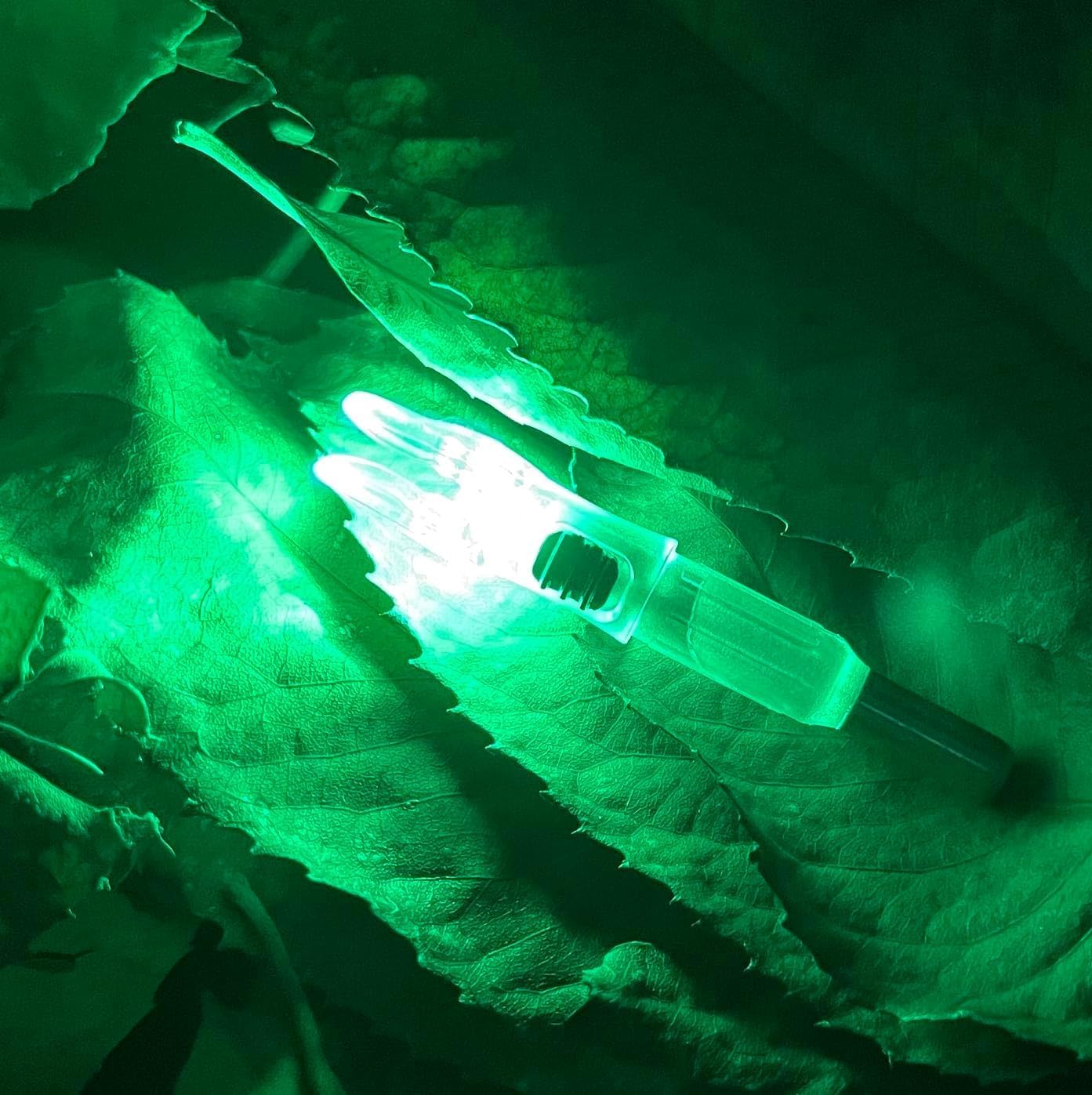 DEEPOWER S Lighted Nocks for Arrows .244/6.2mm 6/12 Pack Lighted Arrow Nocks for Archery Hunting