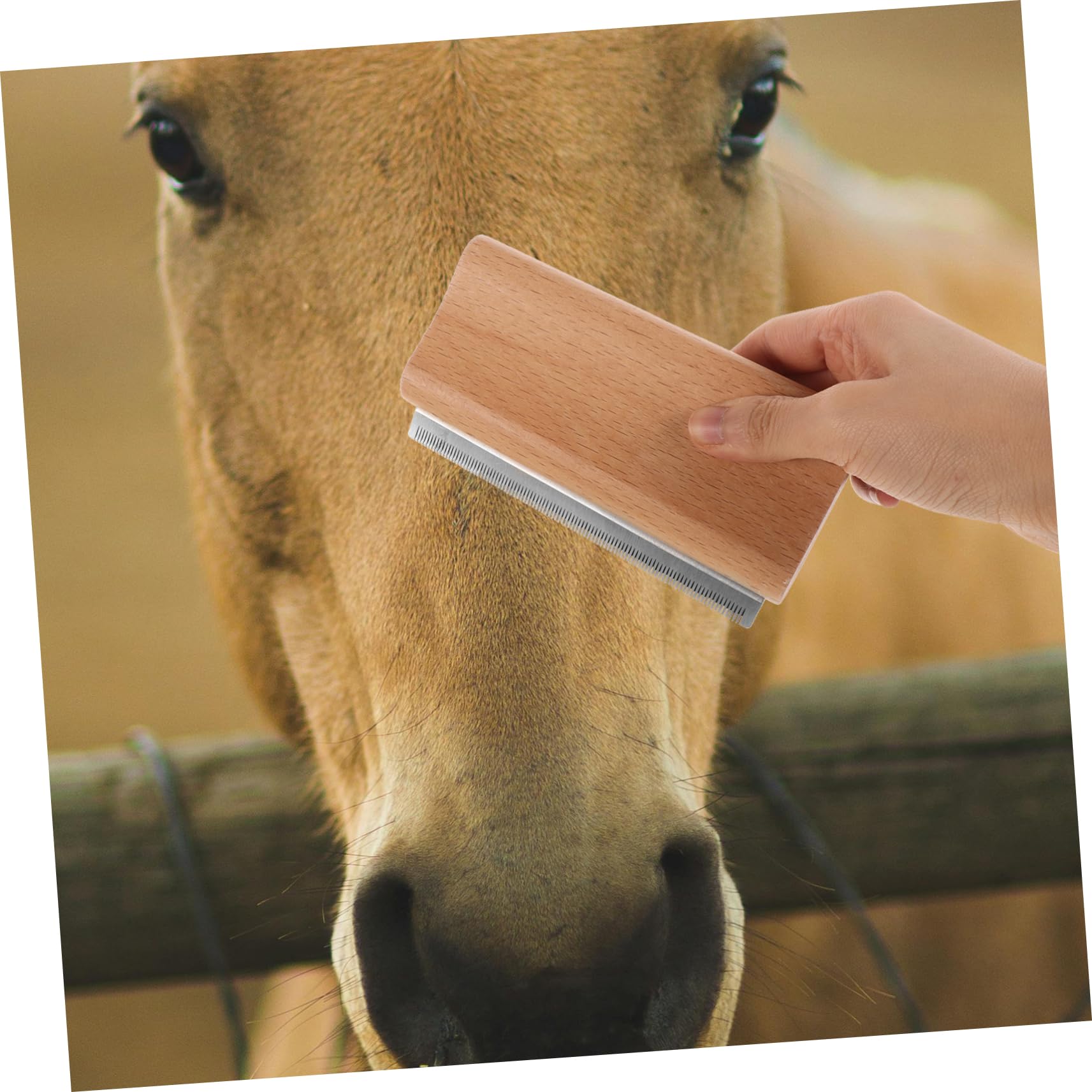 Kisangel 5 Uds Peine Para Eliminar El Pelo De Mascotas Cepillo Para Caballos Cepillo Para El Cuidado De Gatos Cepillo Para El Cuidado De Perros Cepillo Para Derramar Perros Cepillo