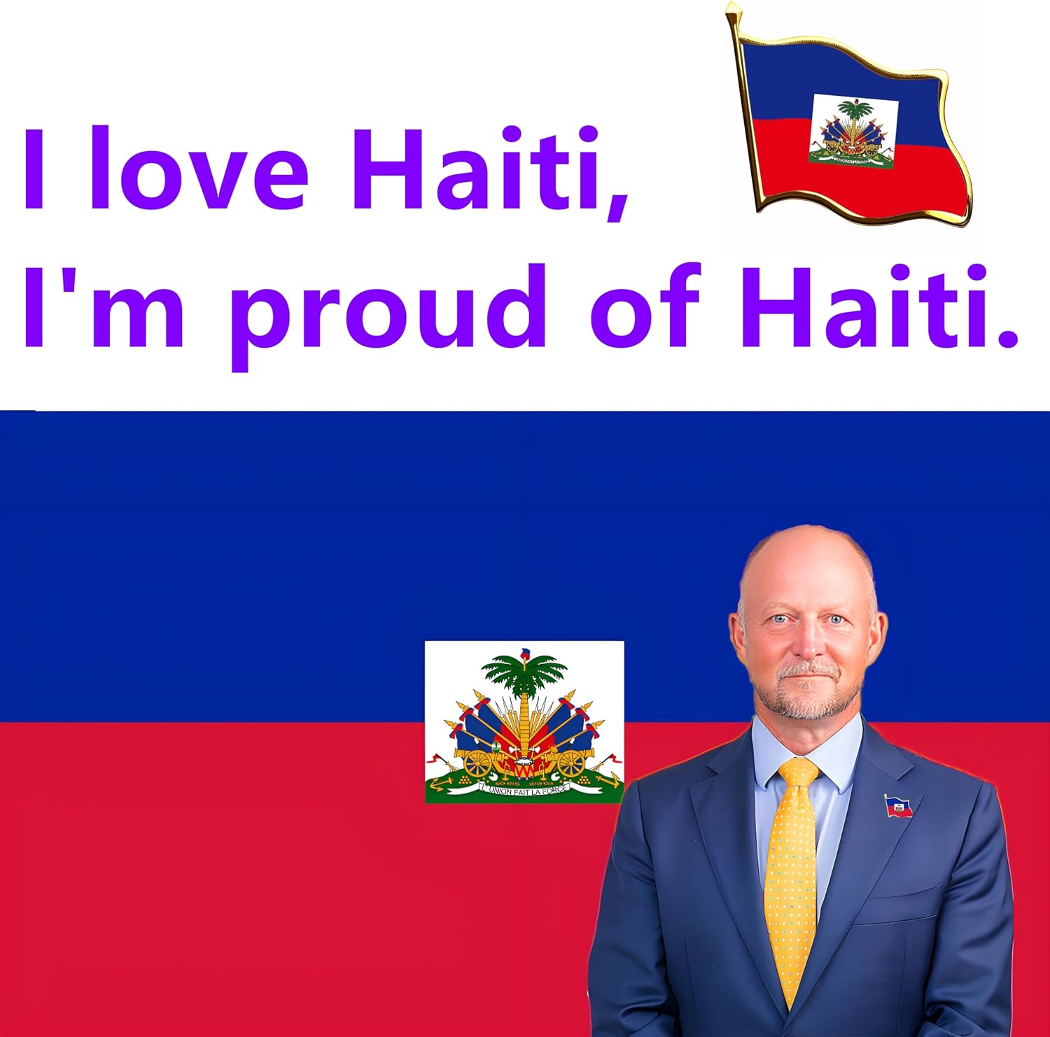 6/12/25/50/100 pieces small Republic of Haiti Flag lapel pins for men suit Haitian flag lapel pin badge bulk