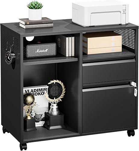 Miniatura 1 de LISSIMO Archivador lateral, archivador de 2 cajones con cerradura para tamaño A4 o carta para oficina en casa, soporte de impresora móvil con