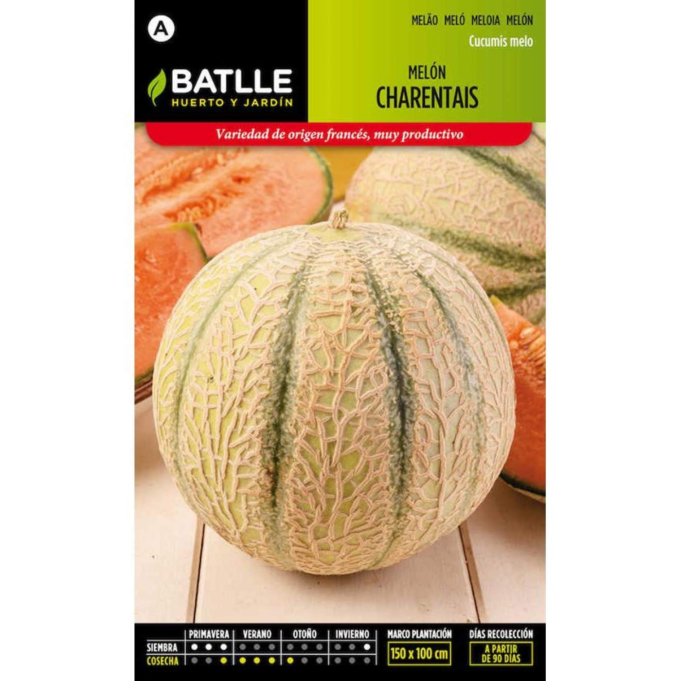 Semillas Batlle Graines de Melon Charentais, Blanc/Vert