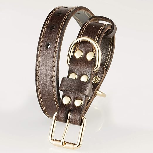 Genuine Leather Dog Collar with Alloy Buckle and Double D