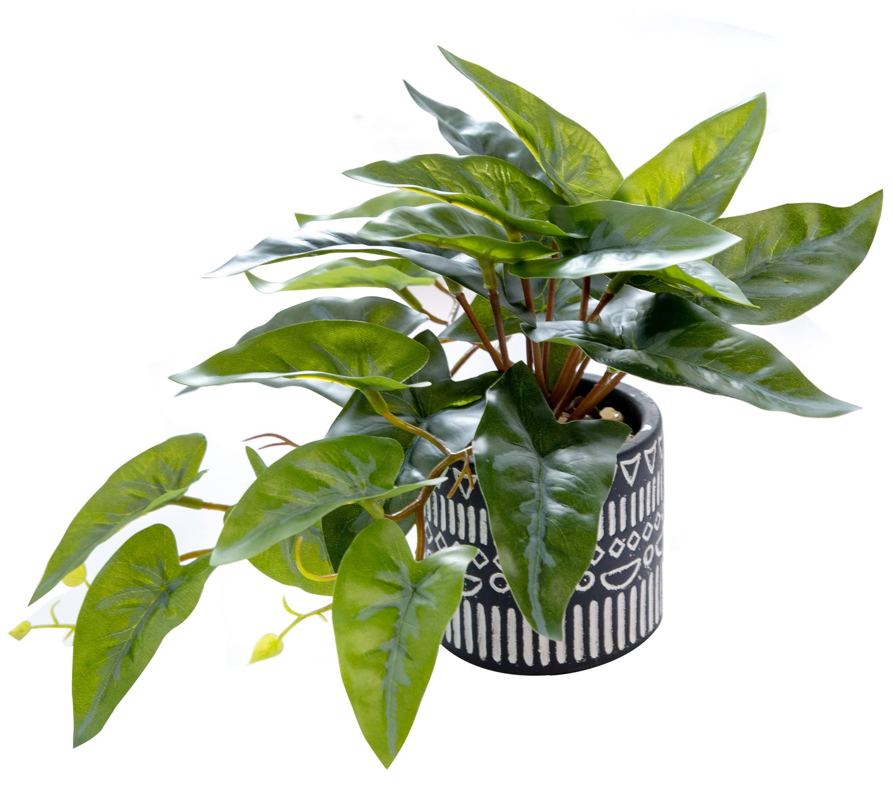 AlphaAccFaux Plant Decor Potted Artificial Small Greenery Ivy Leaves Plants with Black and White Geometry Patterns Cement Pot for Office Desk Home Kitchen Decoration (Taro Leaf)