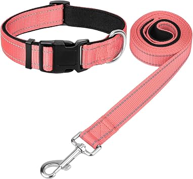 Reflective Dog Collar 12-19" and 6FT x 3/4" Wide Dog Leash Set, Soft Padded Adjustable Collar and Padded Handle Leash for Medium Dogs, Neon Pink, M,3/4" Width