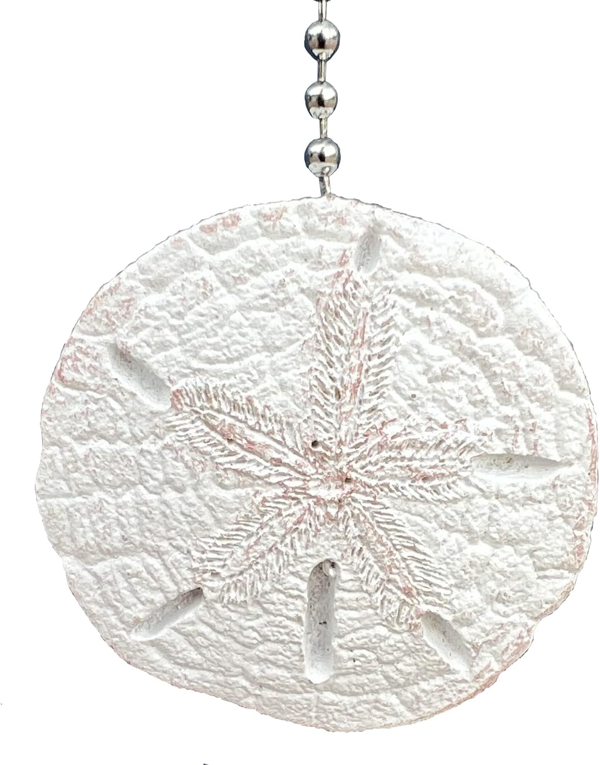 Realistic Large Sand Dollar Fan Pull - Beach Ocean Sea Shell Coastal Nautical Decor