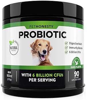 Yogurt for acid reflux in dogs Yogurt for acid reflux in dogs