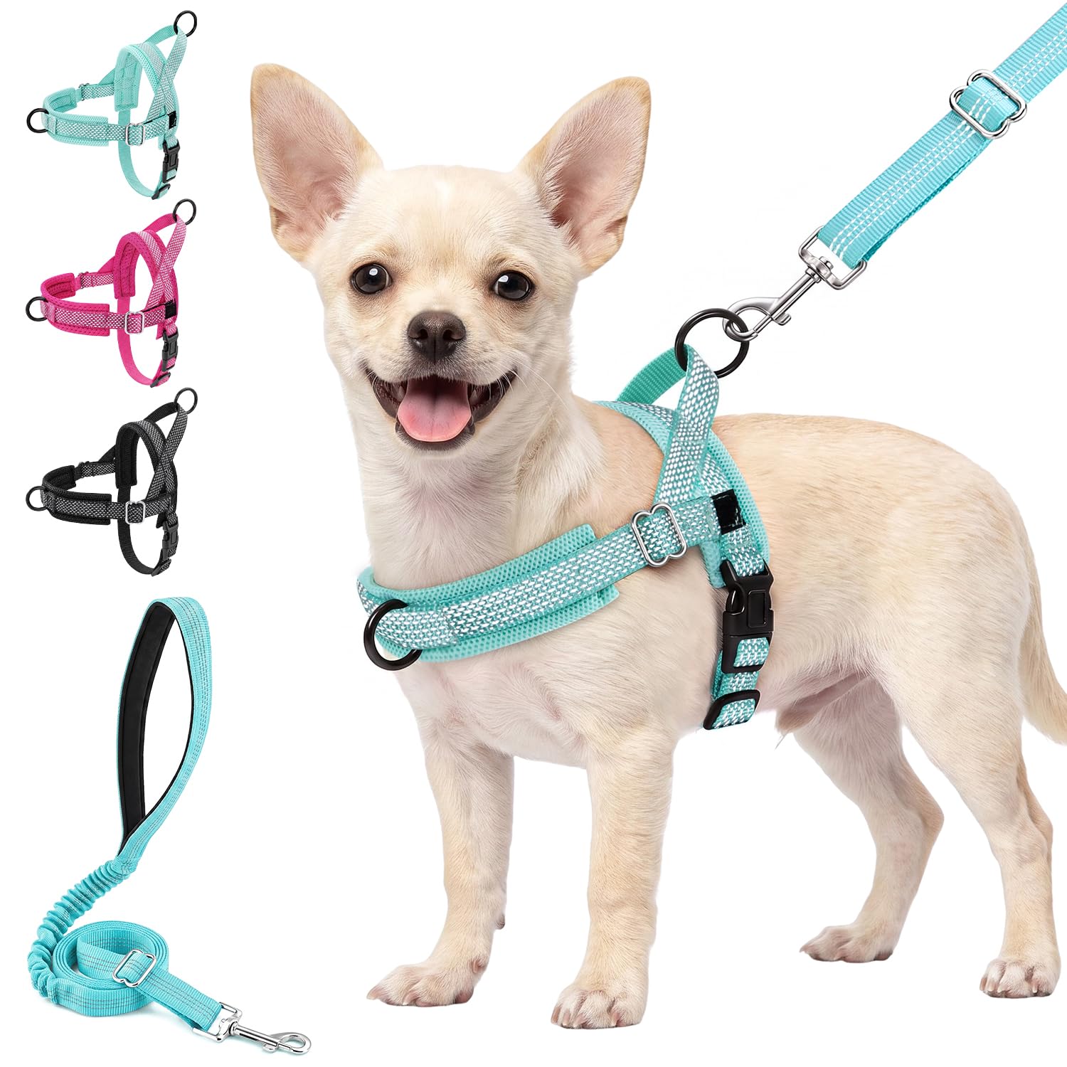 Eyein No Pull Small Dog Harness and Leash Set, Breathable Mesh Padded Vest