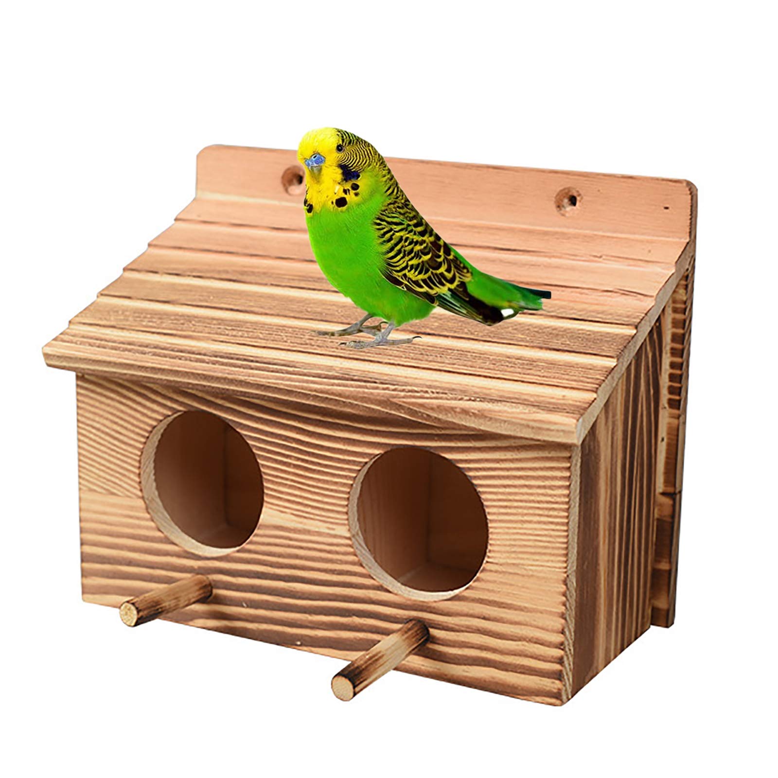 Maison d'oiseau en bois authentique nid d'élevage durable pour volière