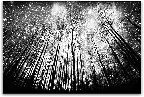 Miniatura 2 de StartonightLienzo en blanco y negro abstracto Noche estrellada, Dual View sorpresa obras de arte moderna Framed Wall Art listo para colgar arte 100%