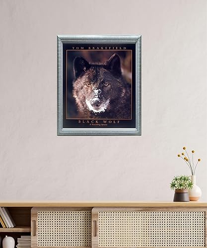 Miniatura 8 de Póster artístico para decoración de pared, diseño de lobo negro (una especie desaparecida) (16 x 20 pulgadas)
