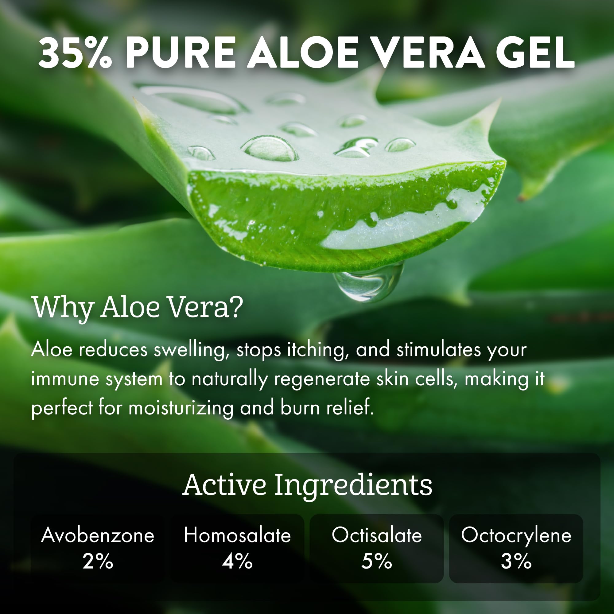 Aloe Up Sport Performance Crème solaire SPF 15 à l'aloe vera Sun Lotion 177 ml Tube