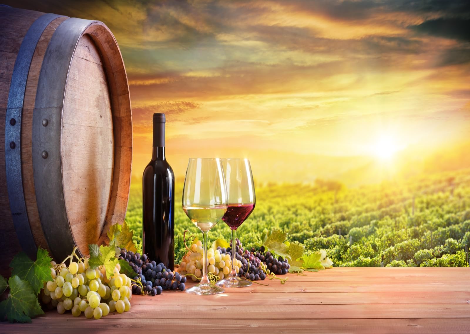 BELECO 5x3ft Fabric Vineyard Backdrops For Photography Countryside Grapevines Vineyard Landscape Winery Background Farm Grapes Harvest Wine Party Decor Portrait Photoshoot Studio Booth Props