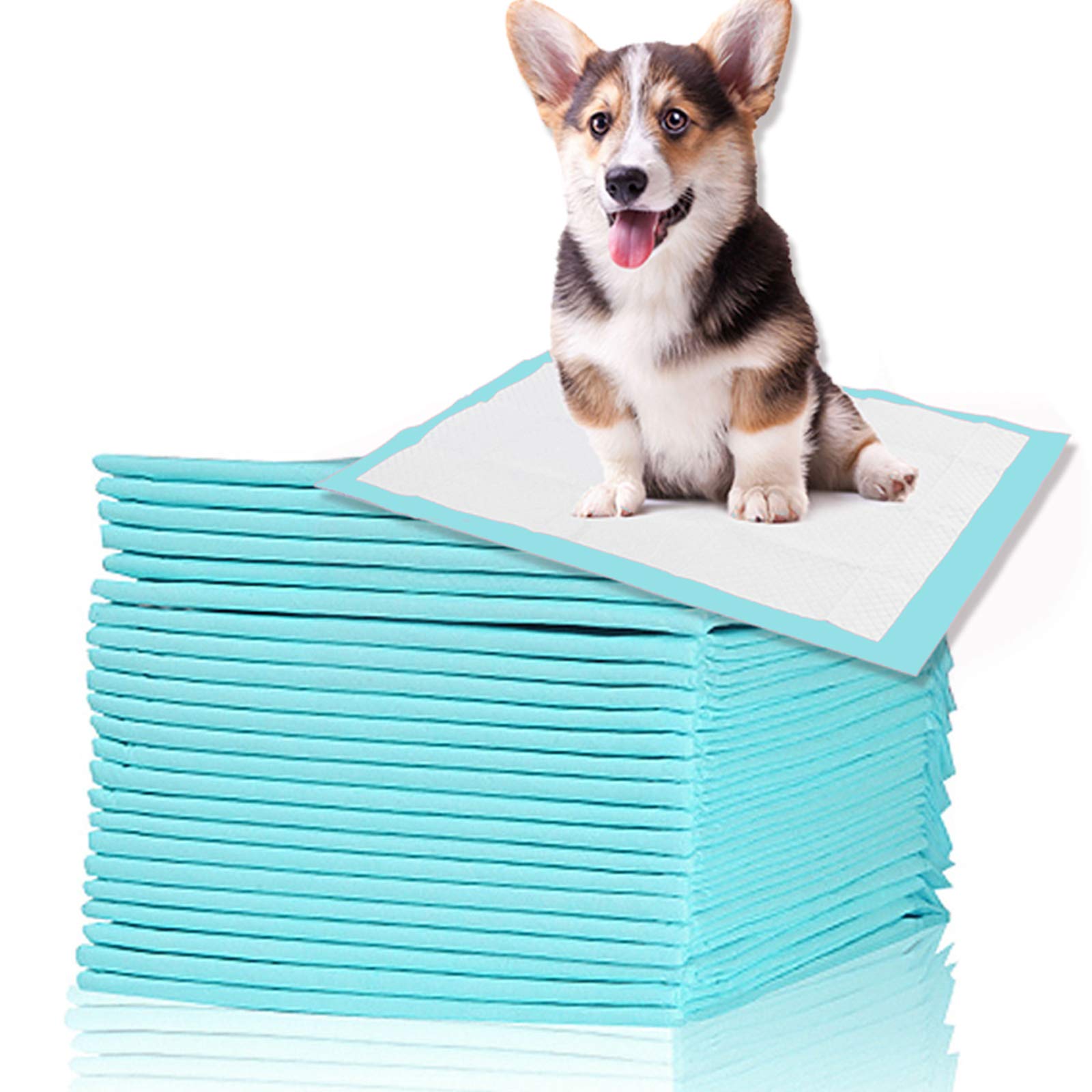 Empapadores Perros Cachorros, Toallitas de Entrenamiento para Mascotas, Súper Absorbentes Almohadillas de Entrenamiento para Atraer los Cachorros,Alfombrilla higiénica