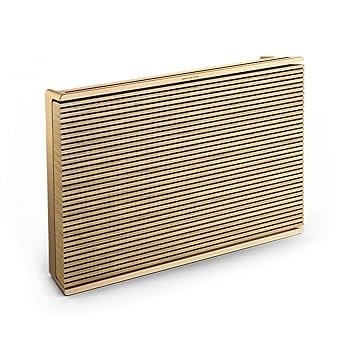 Amazon.com: Bang & Olufsen Beosound Level Portable Wi-Fi