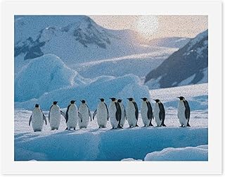LPSADGF Penguin Ice Glacier DIY Paint by Numbers Kit for Adults Beginners Digital Oil Painting Kit Landscape Digital Paints by Number Easy Canvas Art Print for Home Wall Decoration 30x40cm