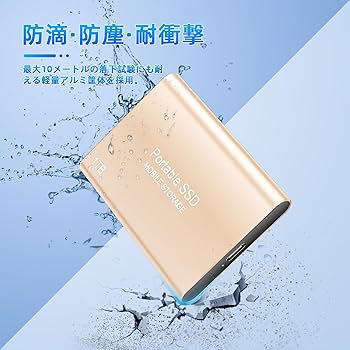 Amazon | 【Amazon.co.jp 限定出品】Lulizzie SSD 外付け SSD