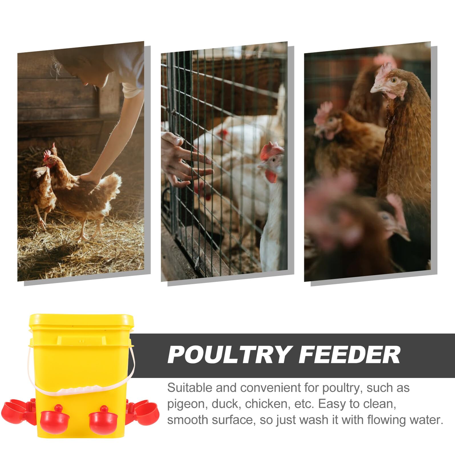 Hohopeti Mangiatoia Automatica Pollame Ciotole per Alimentazione Pulita e Resistente Contenitore Portatile per Galline Anatre e Piccioni Materiale PE Riutilizzabile e Antisole