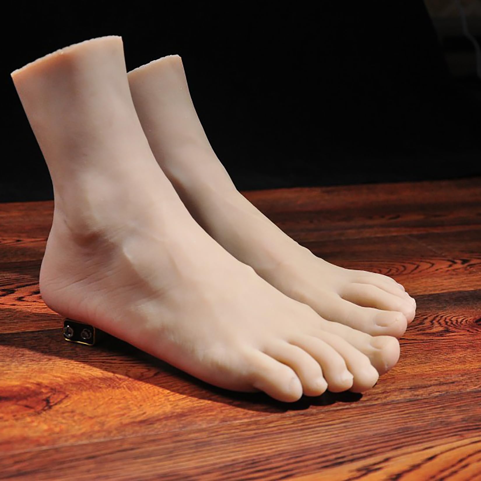 Amazon.co.jp: 足の模型 男性 フット 男子 シリコン 足模型 骨格