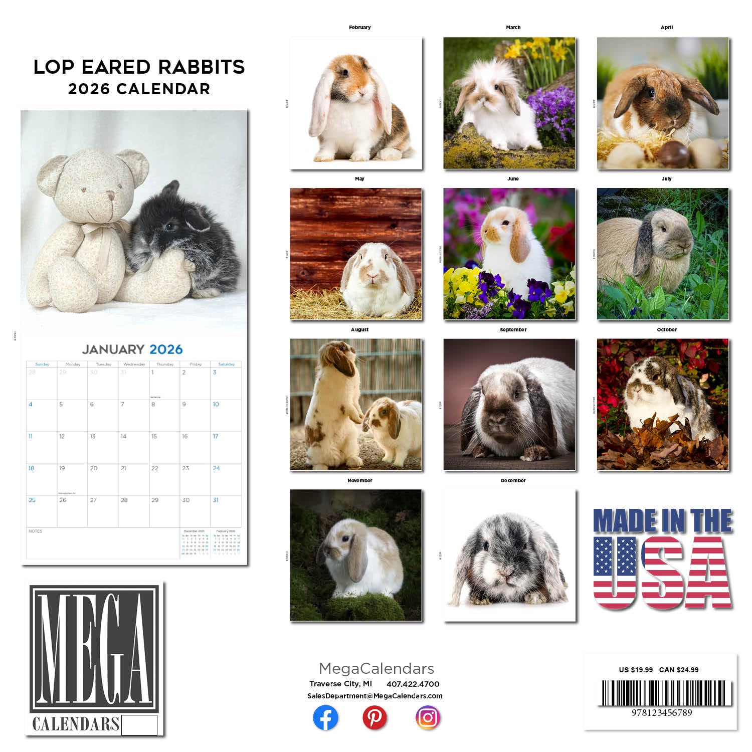 Snapklik.com : 2026 Lop Eared Rabbits Calendar - Dog Breed Wall ...