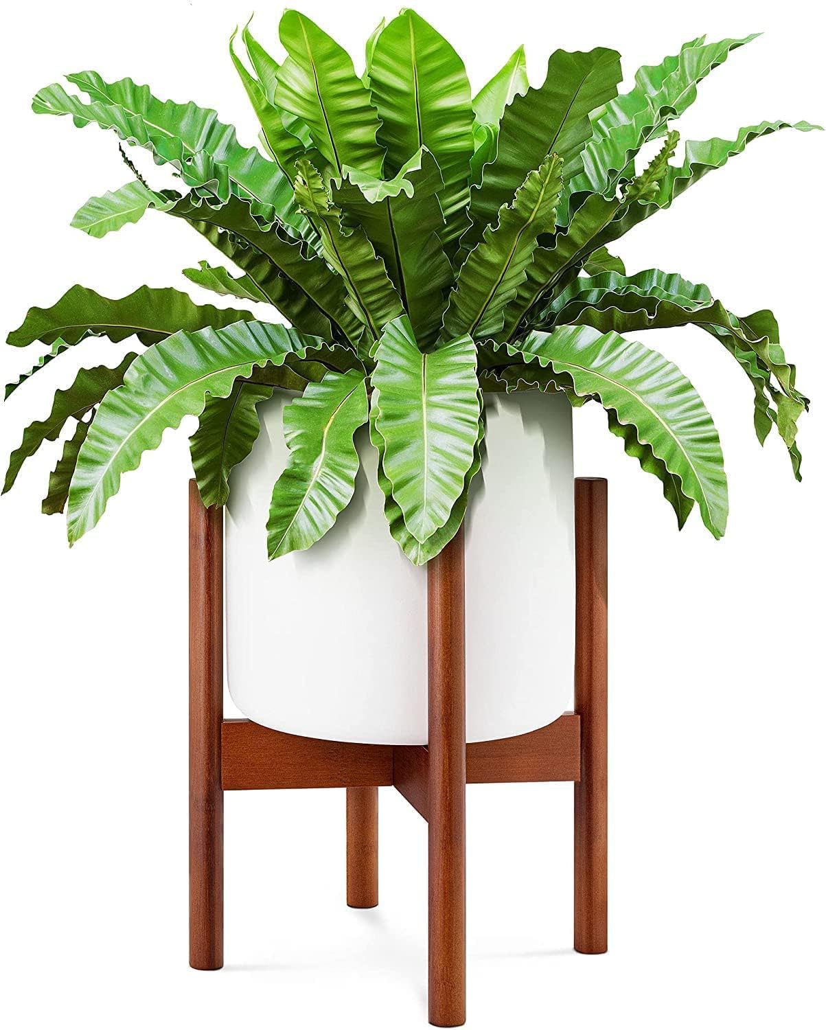 See full amazon price history chart for FOX & FERN Adjustable Bamboo Wooden Pot Stand | Fully Adjustable | Holds upto 8-12Inch. Planters (Pot Not Included) (Walnut) FOX & FERN Adjustable Bamboo Wooden Pot Stand | Fully Adjustable | Holds upto 8-12Inch. Planters (Pot Not Included) (Walnut) (B0DCZ7474Z) Amazon Price History, Amazon Price Tracker