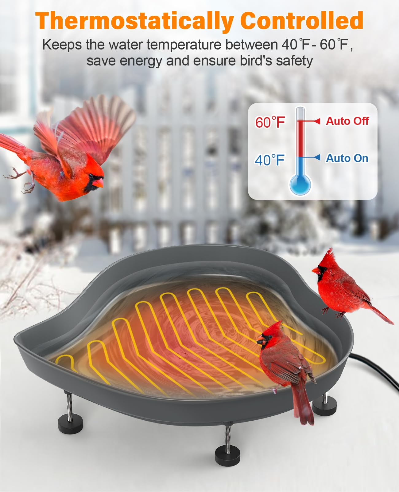 Are Bird Bath Heaters Safe: Essential Facts You Must Know