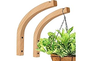 FGSAEOR 8-Inch Wooden Indoor Plant Hangers for Wall