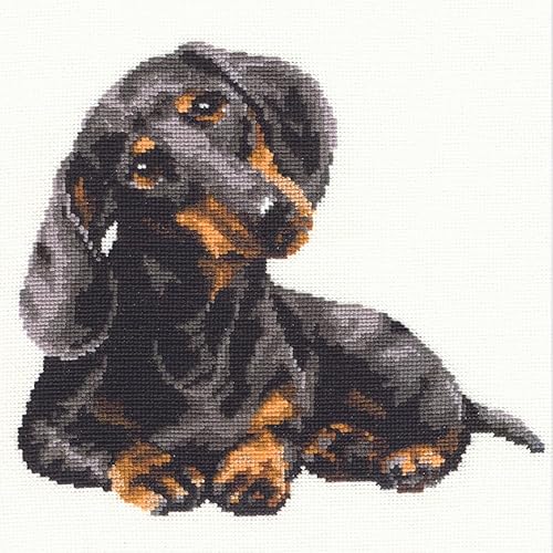 Vista 8 de RIOLIS - Perro salchicha 906, kits de punto de cruz para perros de 9,84 x 9,84 pulgadas, kits de punto de cruz contado, kits de punto de cruz