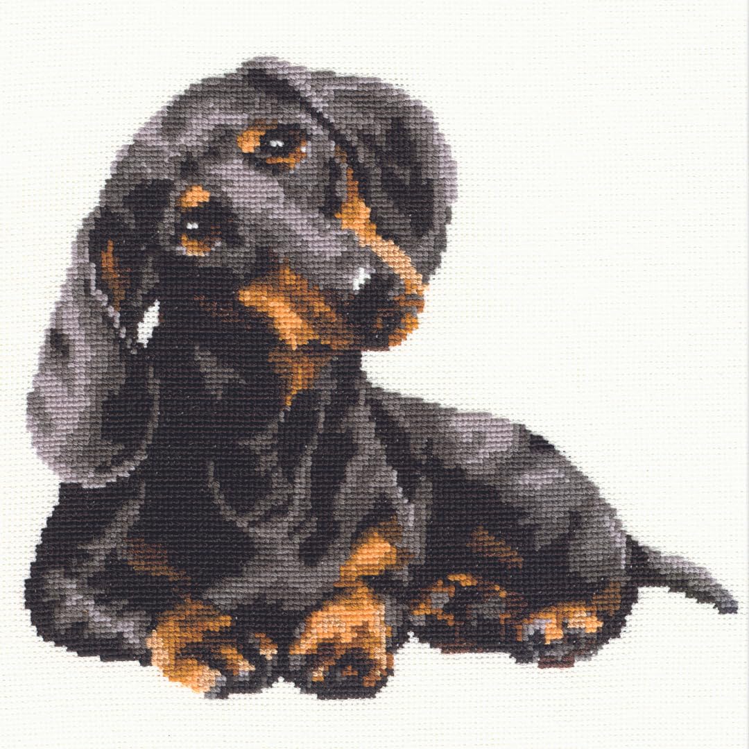 RIOLIS Dachshund Cross Stitch Kit - Beginner Friendly -8