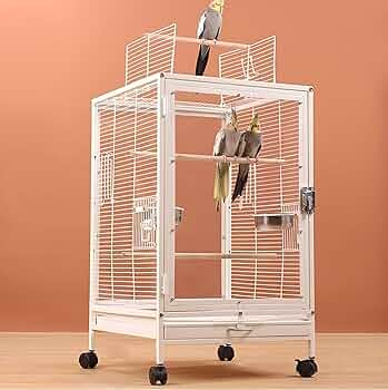 Amazon | LOOPFKL 鳥かご 大型 鳥かご インコ ク リアアクリル