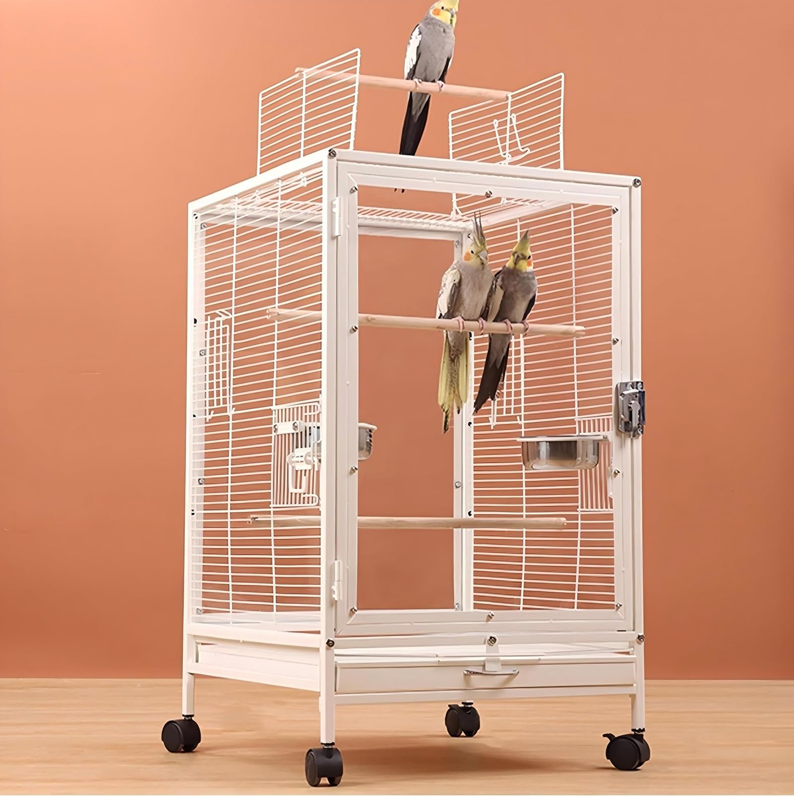 Amazon | LOOPFKL 鳥かご 大型 鳥かご インコ ク リアアクリル 鳥籠