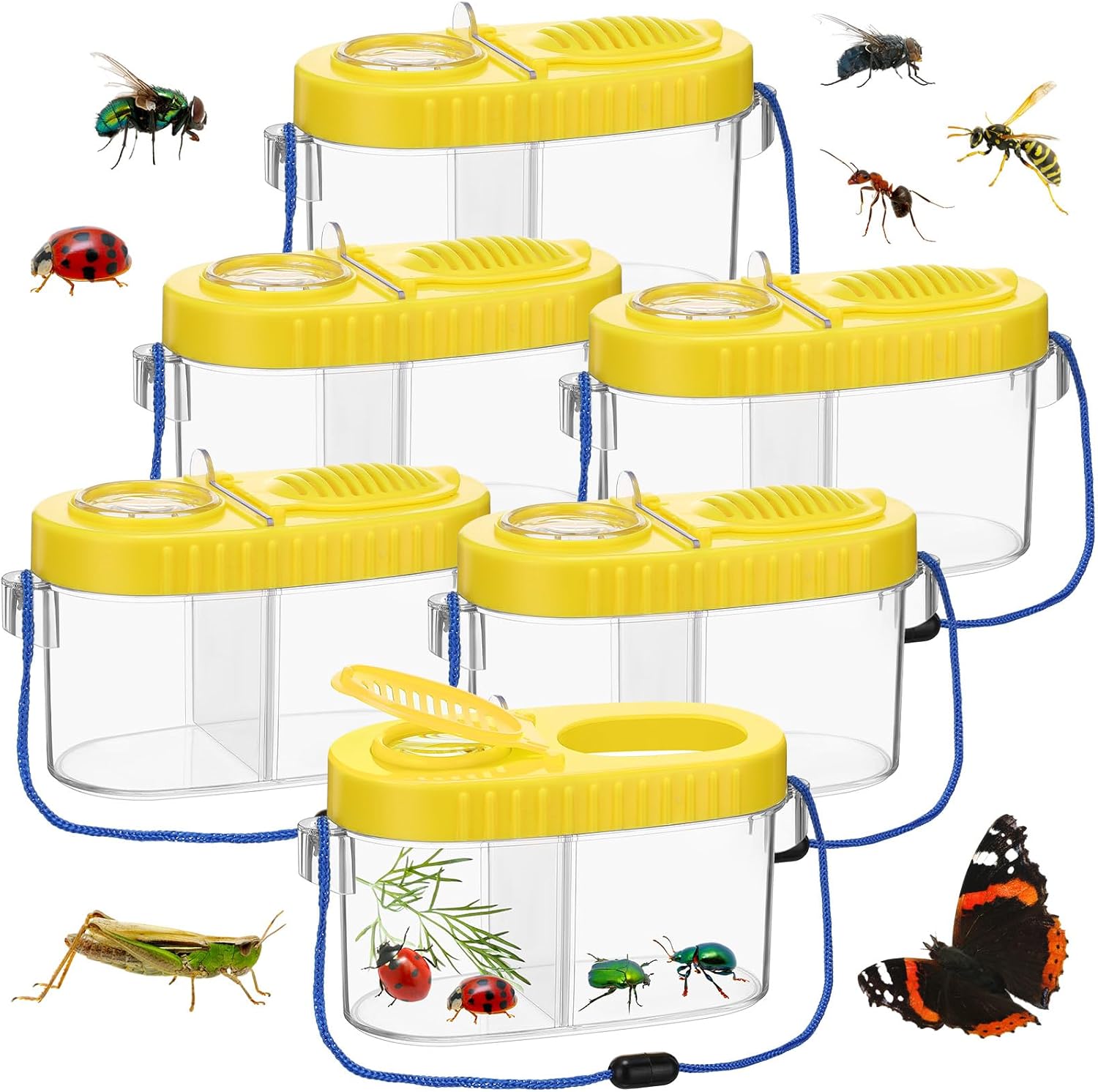 6 Pack Bug Catcher Kit for Kids Bulk Insect Habitat Viewer with Magnifying Glass Vents Portable Bug Collection Cage with Lanyard Nature Outdoor Explorer Set for Boys Girls Birthday Gift(Yellow)