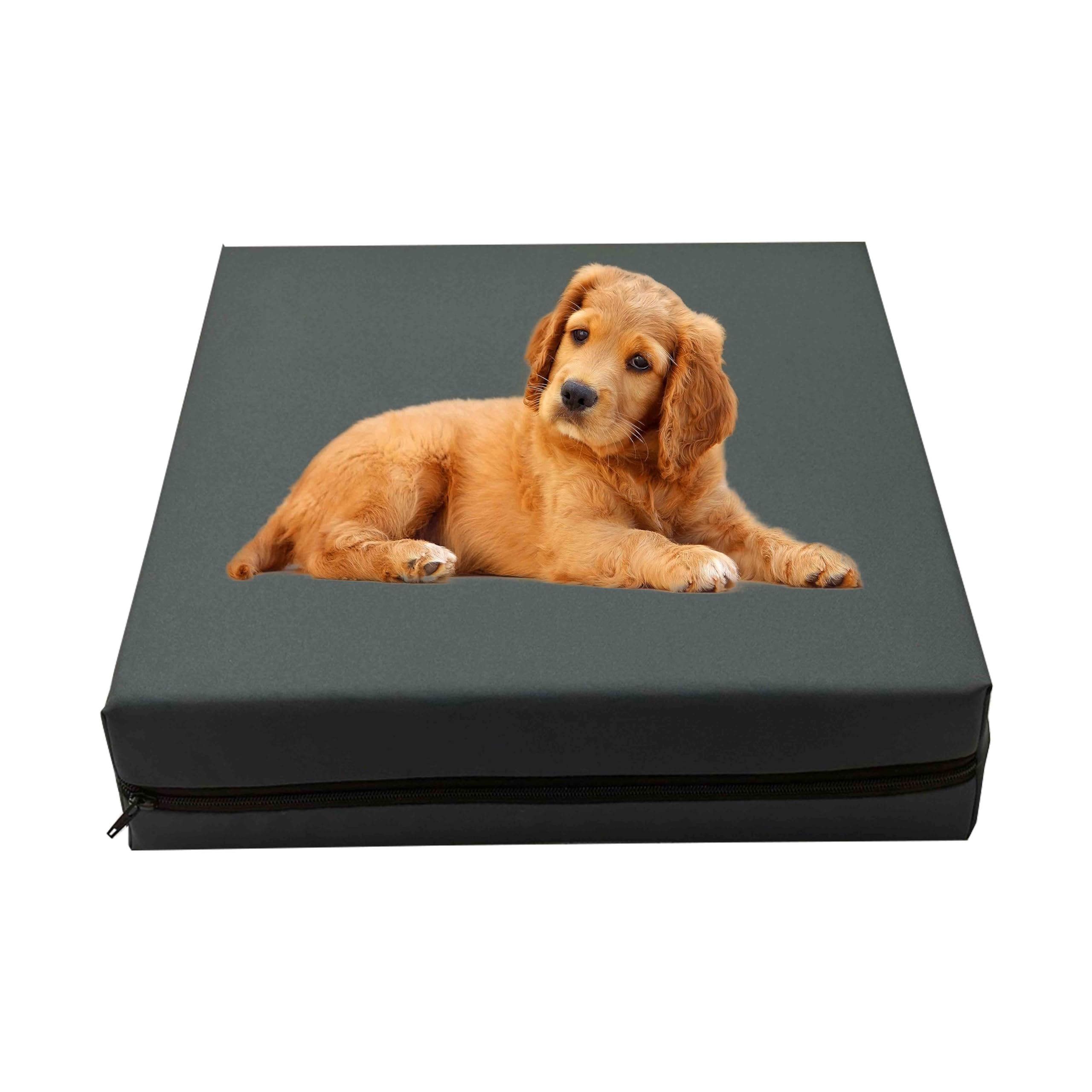 GRIZZLY FOAM Waterproof Dog Bed Cushion and Mattress for Indoor and Outdoor Use with Washable & Removable Zipped Cover and Custom (Charcoal, 122x78x5cm)